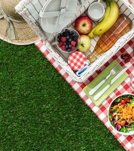 Enjoy a picnic on artificial grass in San Mateo County, CA