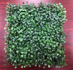 Get dark green artificial boxwood at Watersavers Turf today.