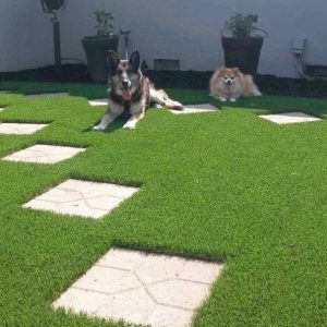 Pets love our synthetic grass because it's durable and drains easily.