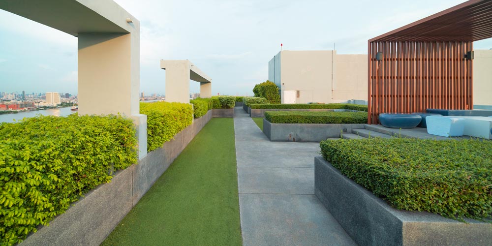 Rooftop garden with artificial turf