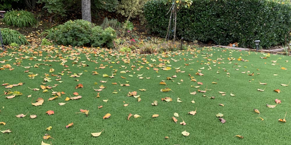 Artificial turf with fall leaves
